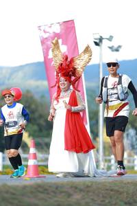 BIB: 
                            <button type="button" onclick="openModal(27853337)" class="btn btn-primary btn-sm float-right btn-popup" data-toggle="modal" data-target=".modal-high-quality">
                        <i class="fas fa-shopping-cart"></i> Add to Cart
                    </button>
                                            <button type="button" onclick="isThisMe(27853337, true)" class="btn btn-success btn-sm float-right btn-popup btn-isme hidden" data-toggle="tooltip" data-placement="bottom" title="นี่คือรูปของคุณใช่ไหม คลิกที่นี่เพื่อเอาเข้าอัลบั้ม">
                        <i class="fas fa-plus"></i> Add to album
                    </button>
                    <button type="button" onclick="isThisMe(27853337, false)" class="btn btn-warning btn-sm float-right btn-popup btn-isnotme hidden">
                        <i class="fas fa-ban"></i> Remove from album
                    </button>